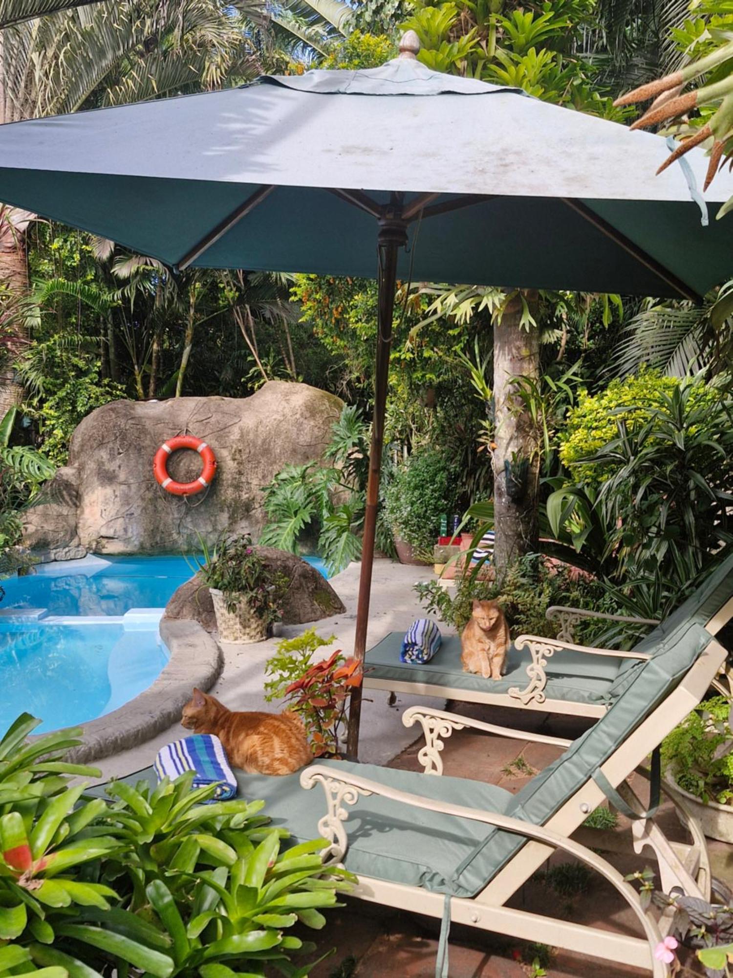 African Ambience Guest House Saint Lucia Estuary エクステリア 写真